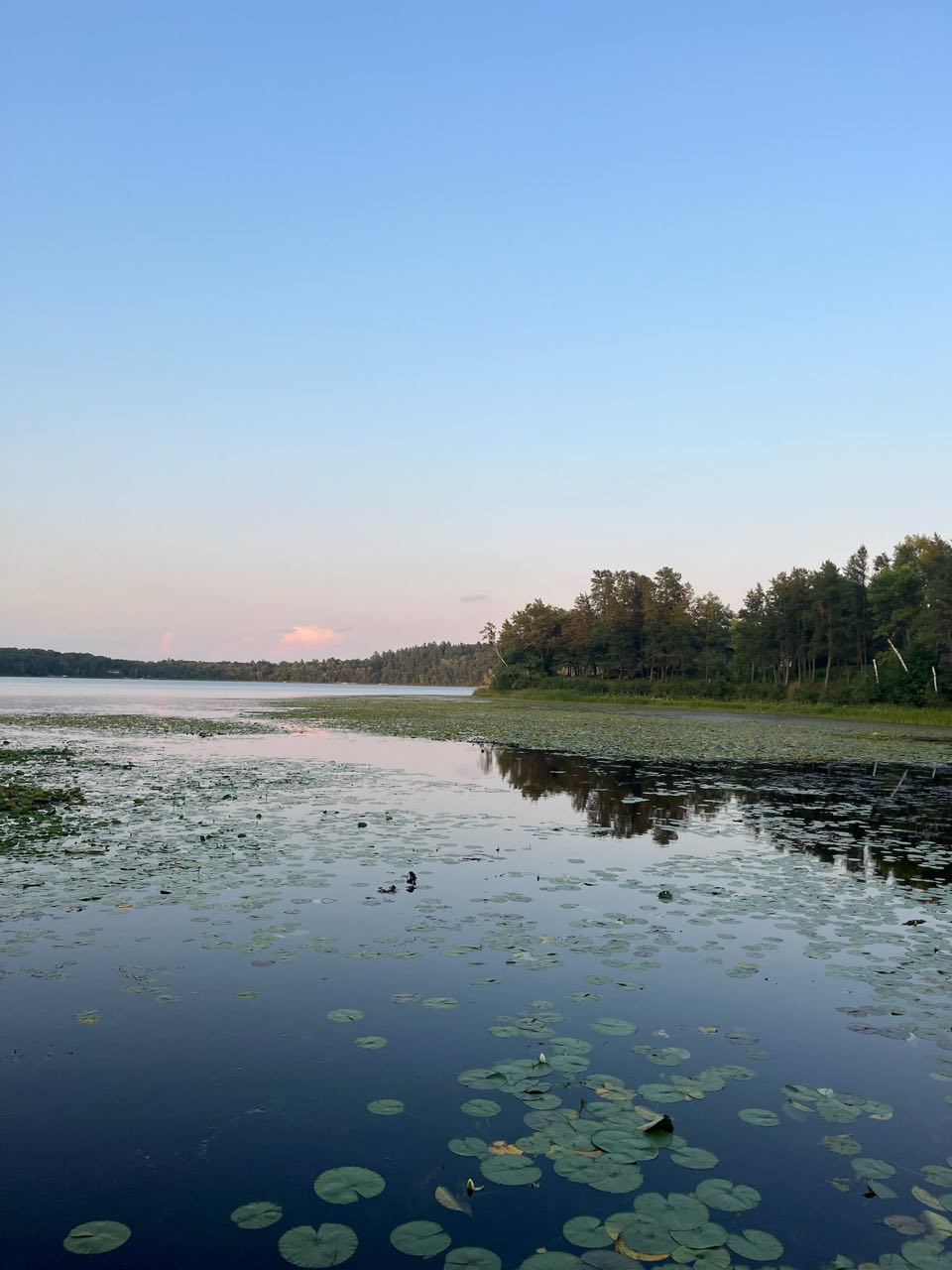 Brainerd — photo 2