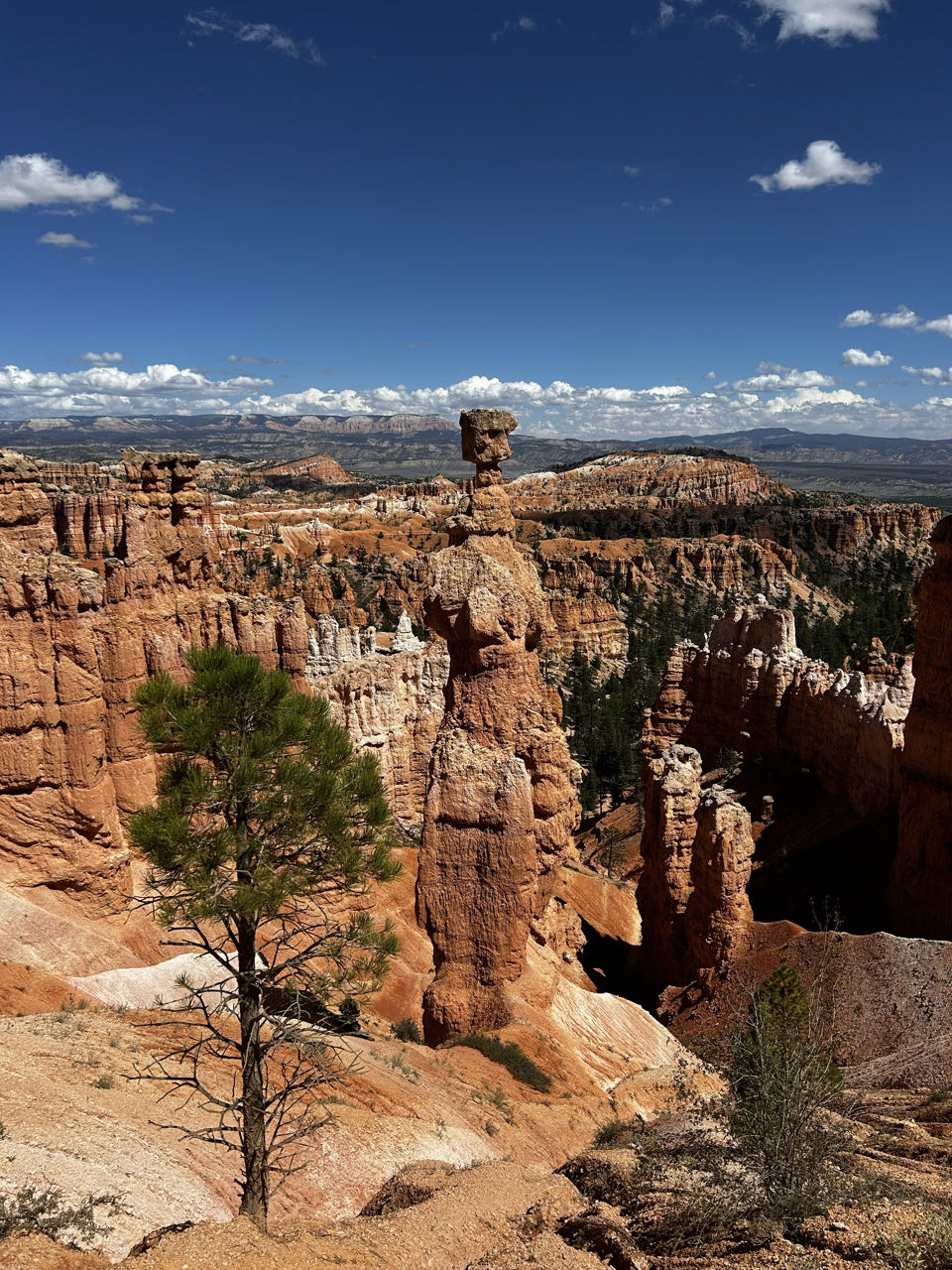 Bryce Canyon City — photo 2