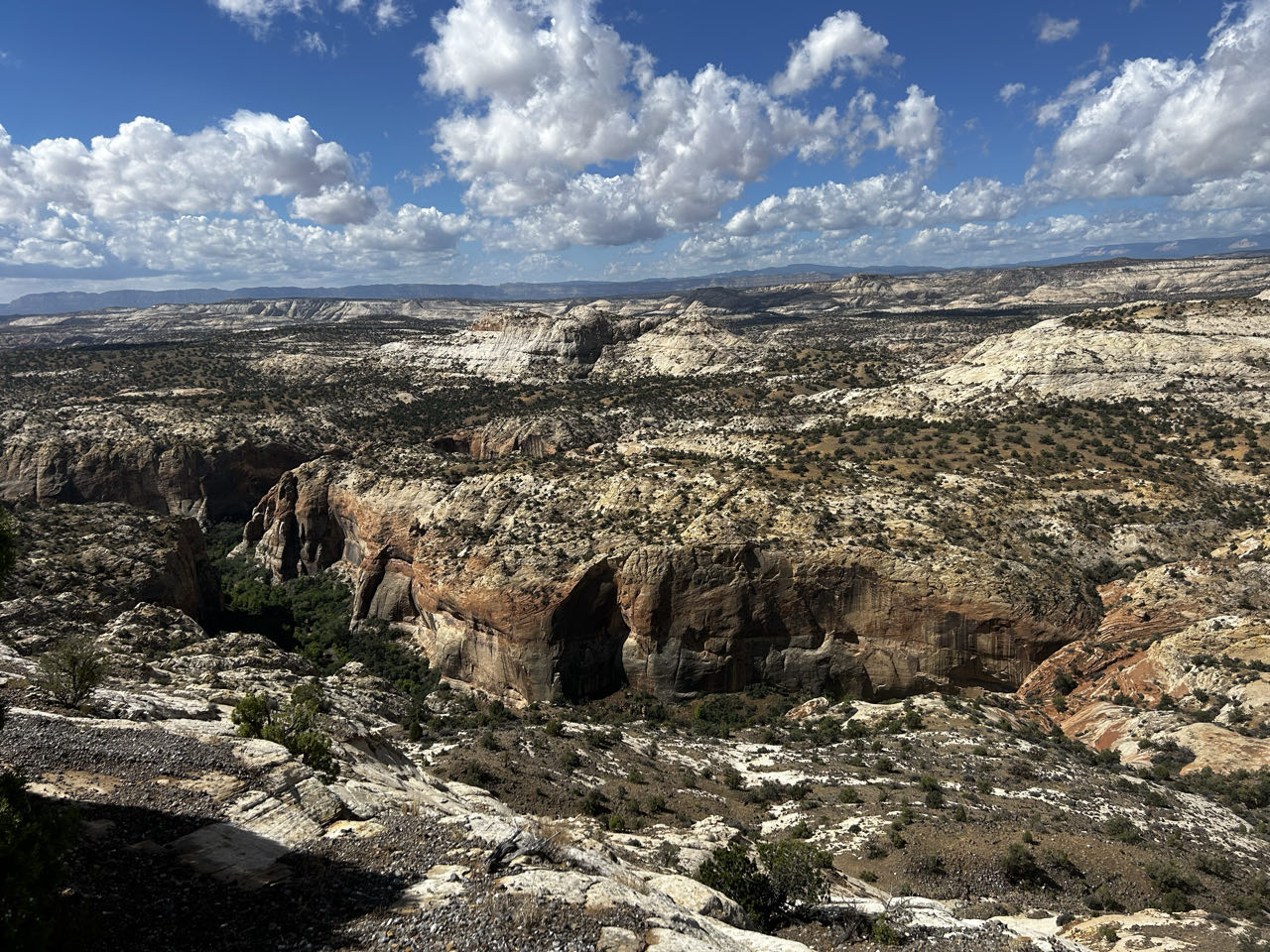 Escalante — photo 2
